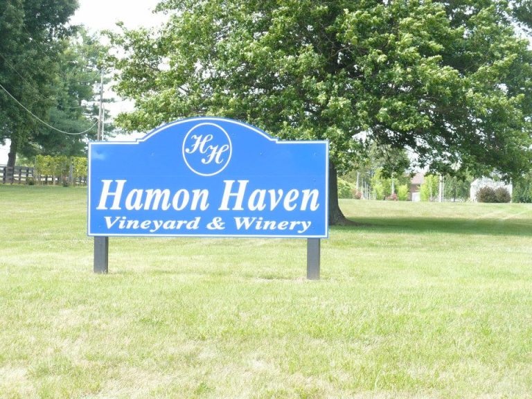 Hamon Haven 768x576