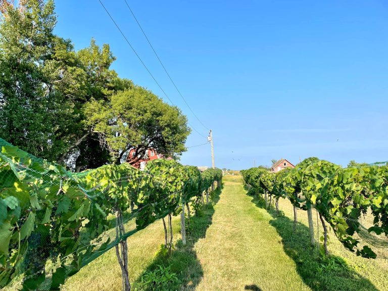 4e Winery 1 768x576