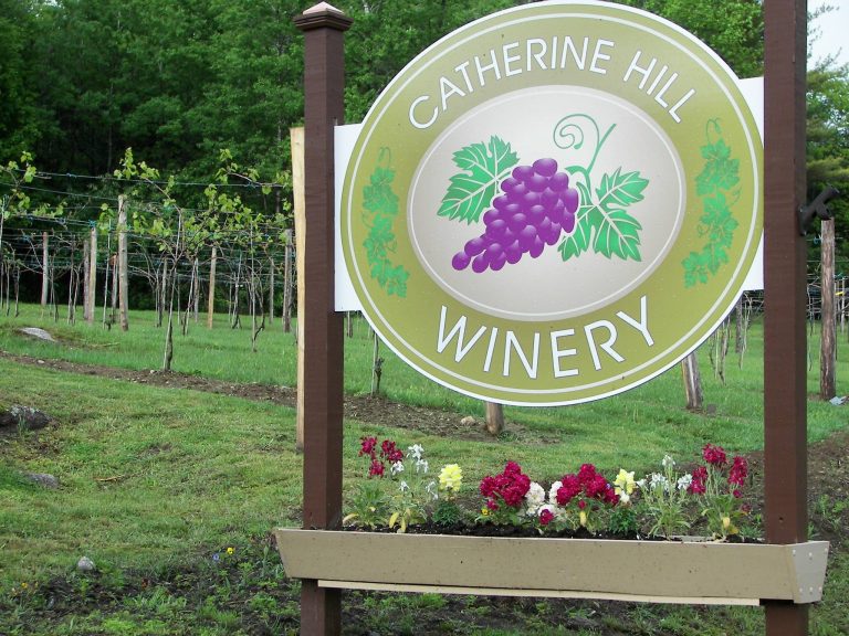 Catherine Hill Winery 768x576