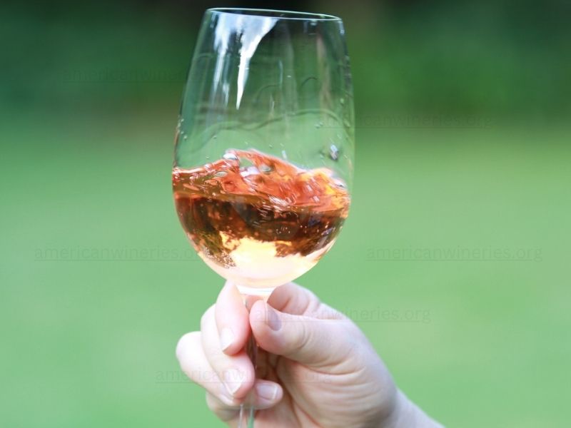 Swirling wine in the glass