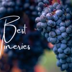 The 10 Best Wineries in the United States