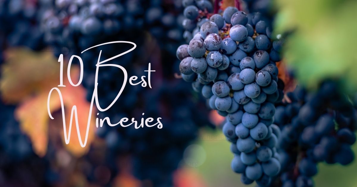 The 10 Best Wineries in the United States